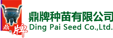 石家莊注冊(cè)公司